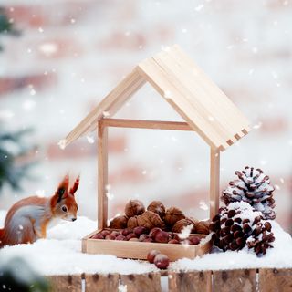 Squirrel feeding house made from handicraft blocks