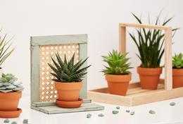 Decorative frame for plant pot