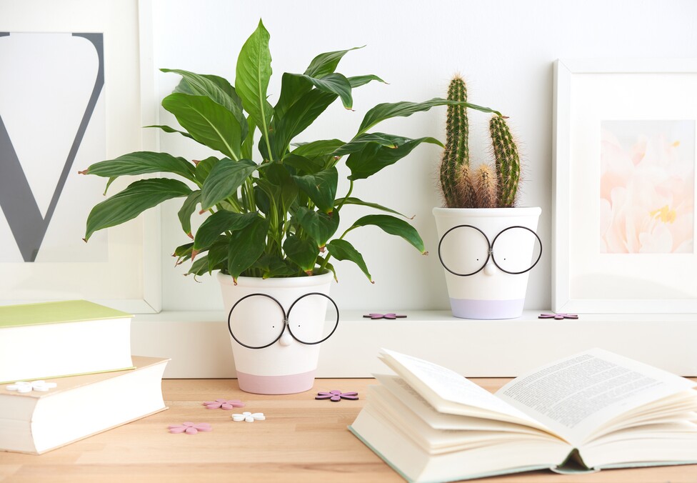 Terrakotta-Töpfe mit Brille