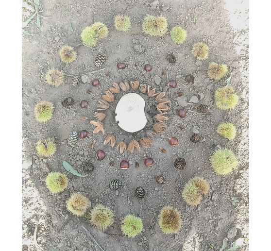 138_Campagnarde_mandala forêt