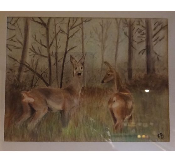 35_gratuit1_faune sauvage