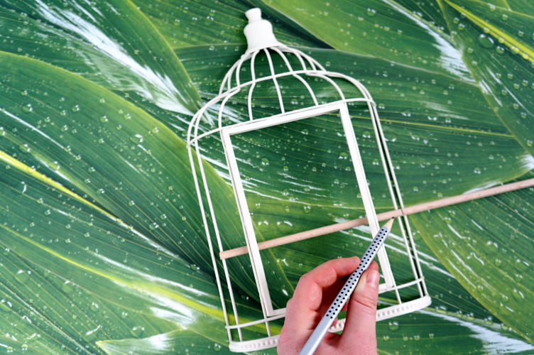 Wandbild Flamingo: Vogelkäfigstange Flamingo in Vogelkäfig Dekoration Deko für zu Hause