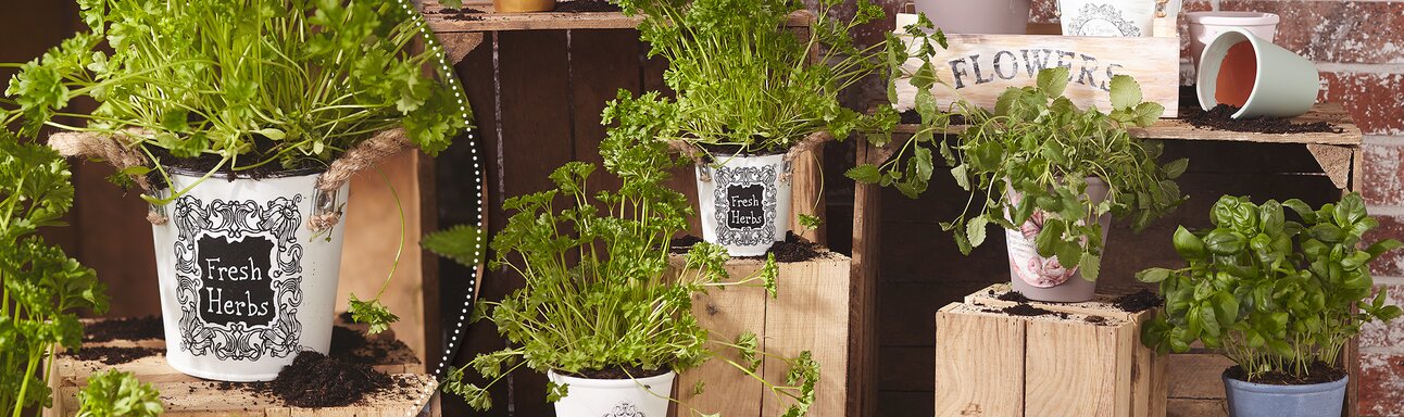 Overdrachttechnieken