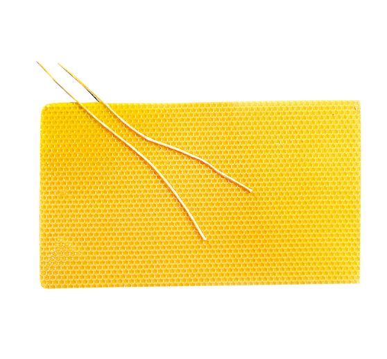 Beeswax-comb panels, 31 x 18 cm