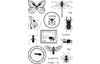 VBS Silicone stamp "Insects"