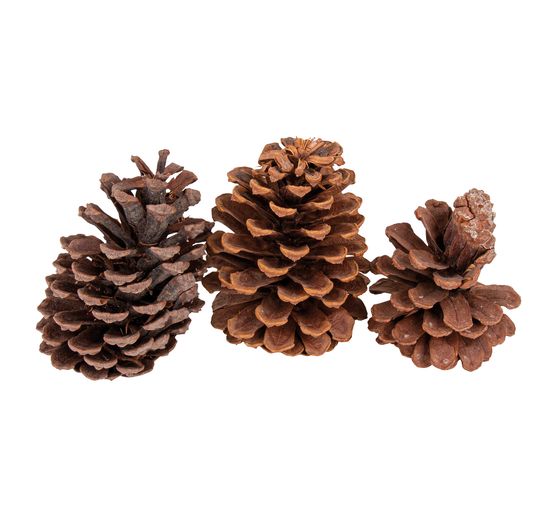 VBS Pine cone, 3 pieces