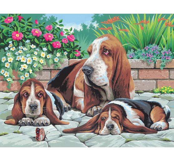 Schilderen op nummers "Basset Dogs"