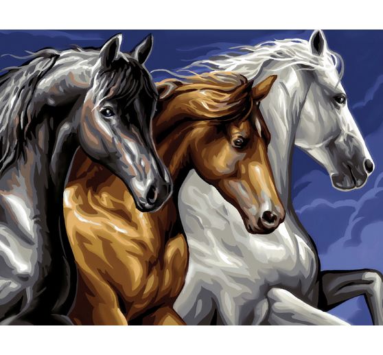 Painting by numbers "Wild Horses"