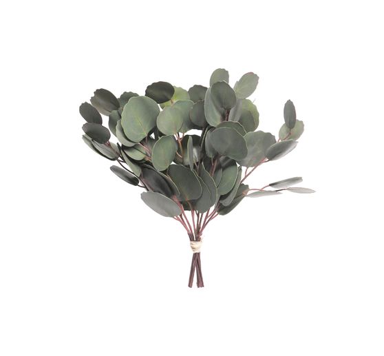 Eucalyptus Branch "Eubia", 4 pieces, ca. L 30 cm