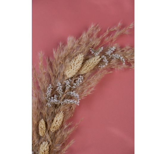 Dried flowers "Phalaris" 