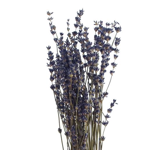 Lavendel natuurlijk blauw
