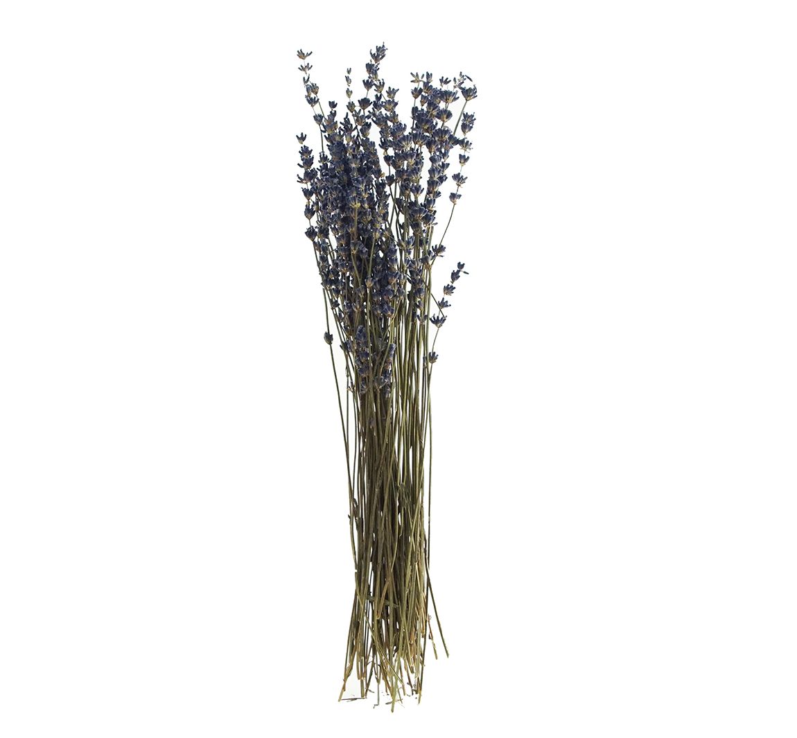 Lavendel natuurlijk blauw