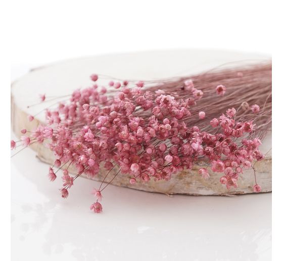 Glixia pink
