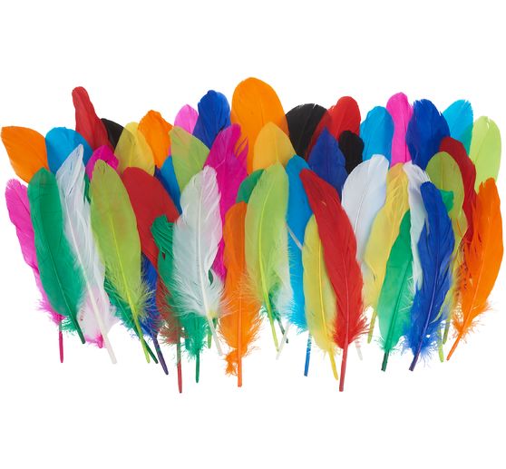 Indian Feathers Mix