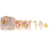 Washi sticker "Gedroogde bloemen"