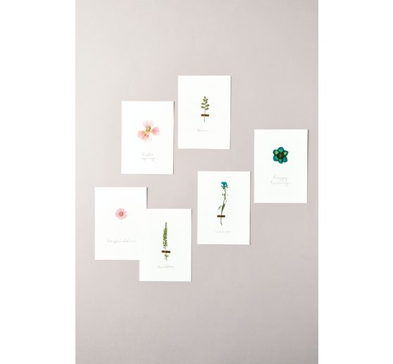 Rico Design Mix Set pressed flowers "Pink Violet"