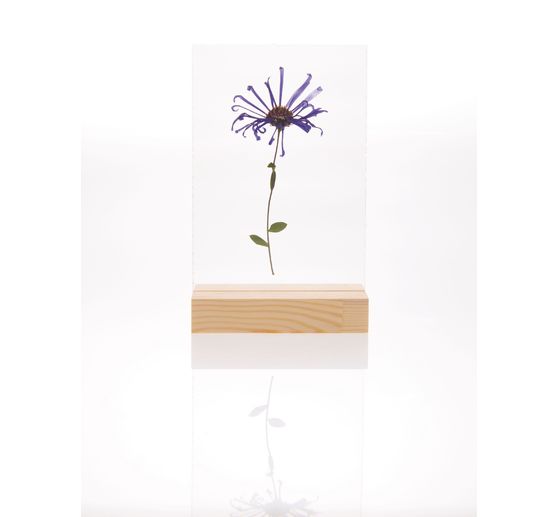 Rico Design houten standaard met dubbel acrylschijf, 10 x 15 cm