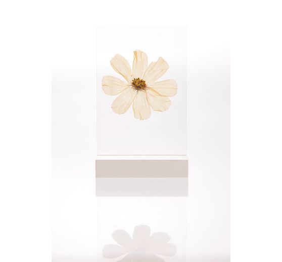 Rico Design houten standaard met dubbel acrylschijf, 10 x 15 cm