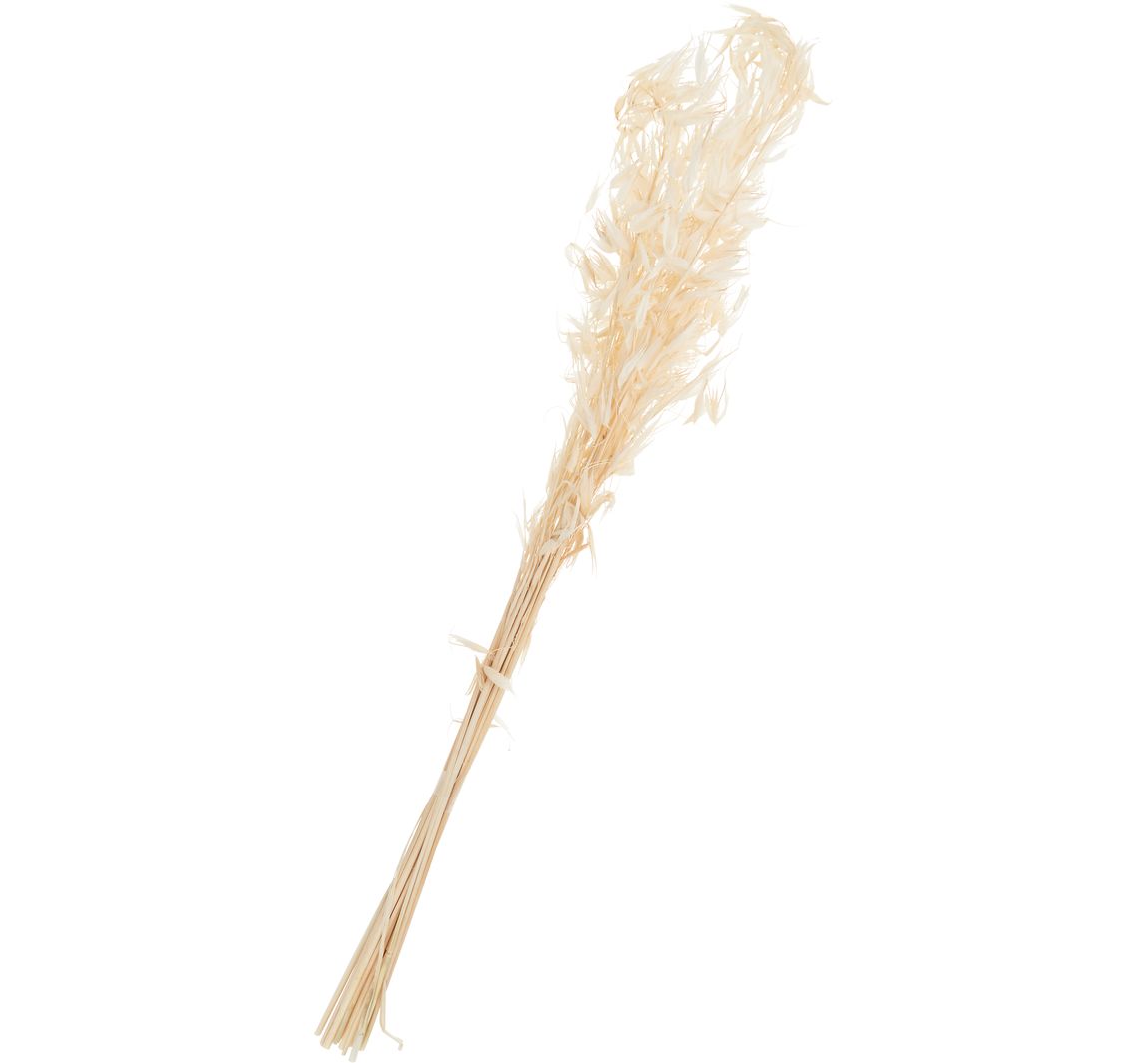 Gebleekte wilde haver, ca. 25 g, L ca. 70 cm