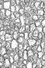 Sizzix 3D embossing template "Mini Cobblestone by Tim Holtz"