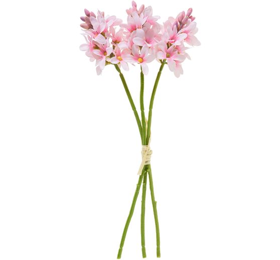 Hyacinth single stem