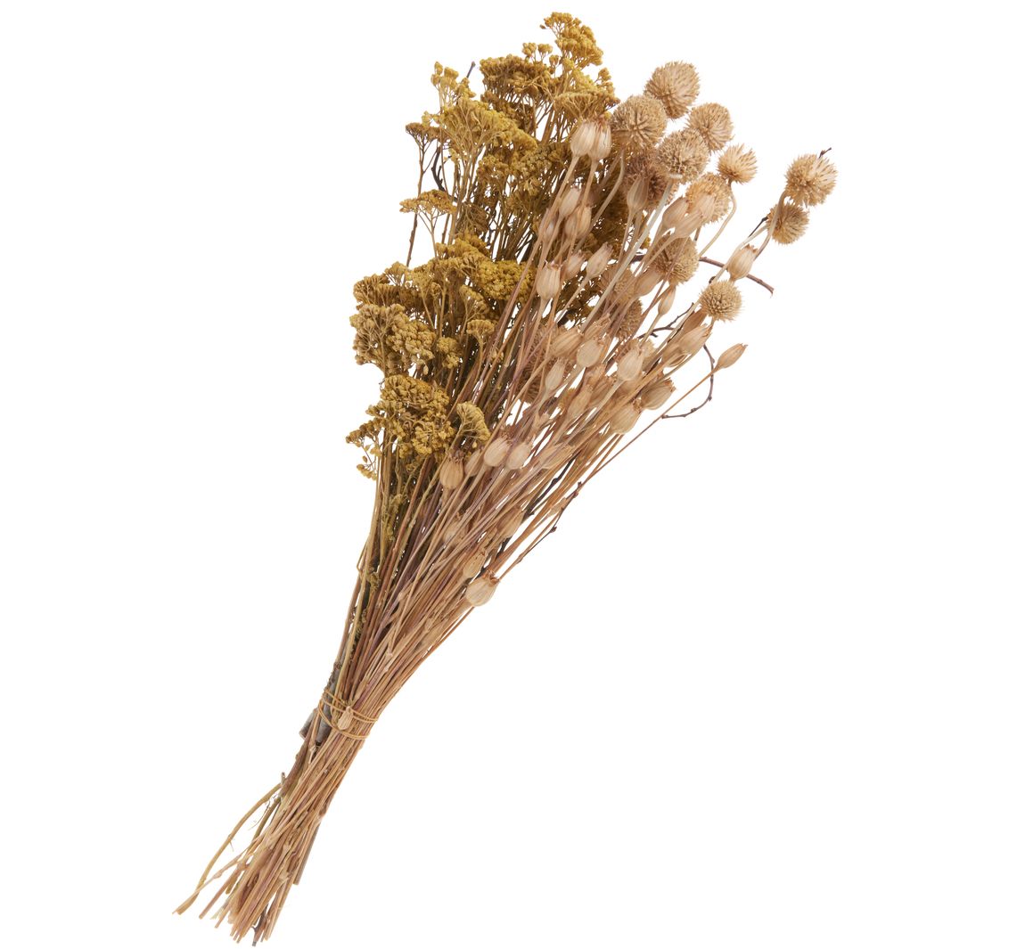 Gedroogde bloemen set "Distel"