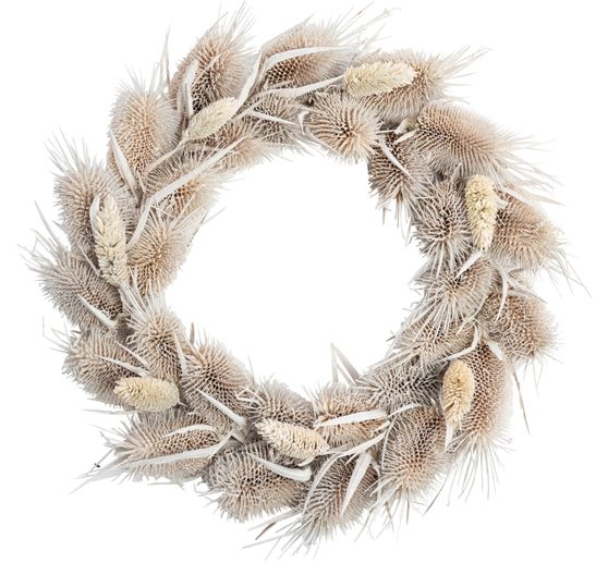 Dried flowers wreath "Card thistle" 