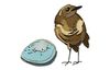 Sizzix Thinlits ponssjabloon "Bird & Egg Colorize by Tim Holtz"