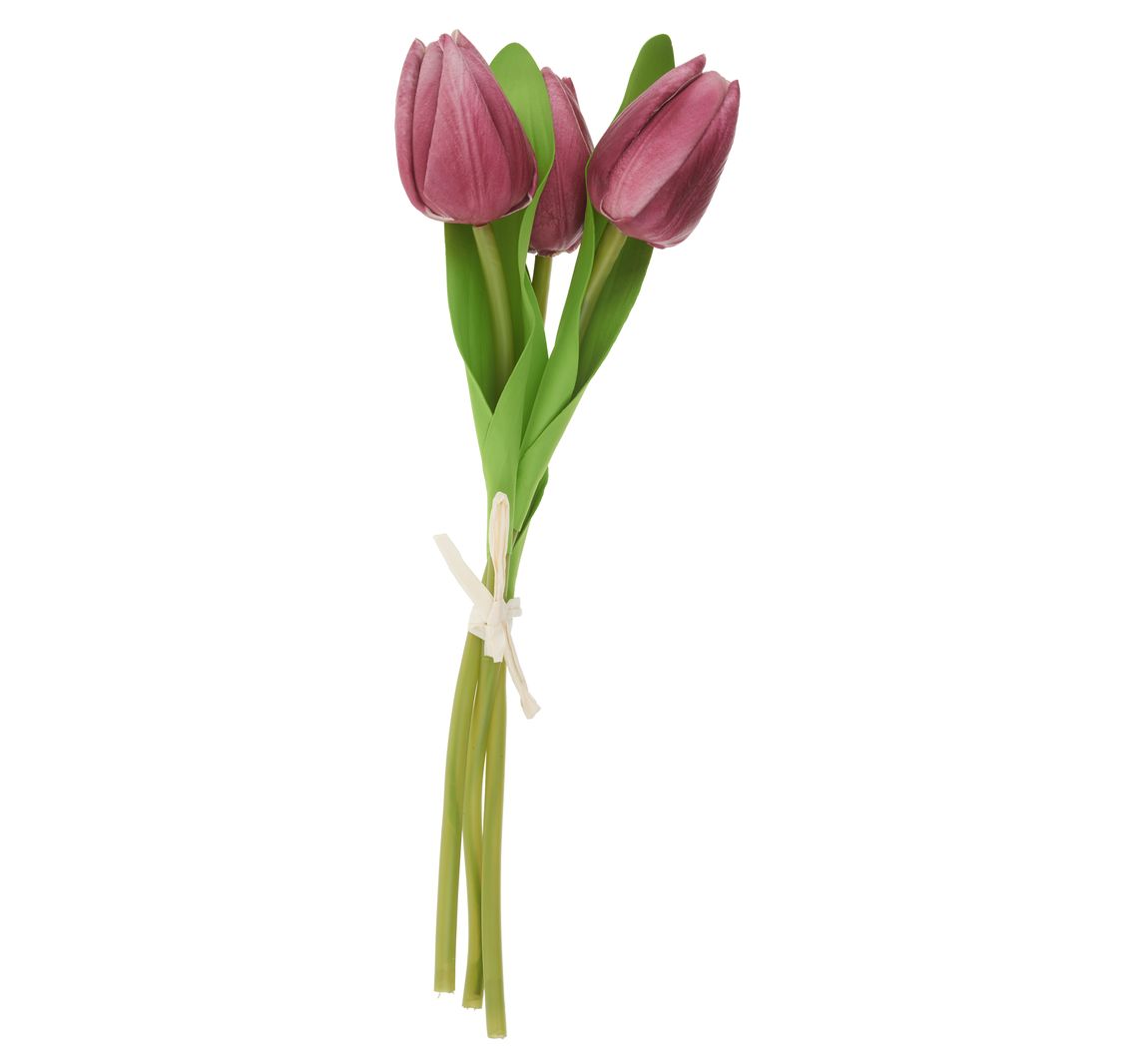 VBS Tulp "Tammie" - Rozig