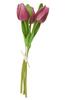 VBS Tulip "Tammie