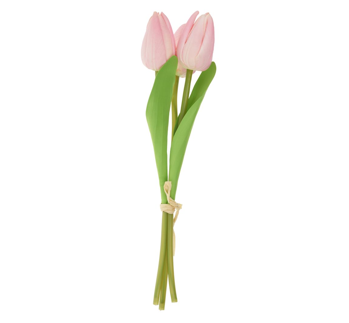 VBS Tulp "Tammie" - Roze