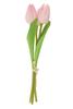 VBS Tulip "Tammie