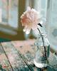 Schilderen op nummers "Witte bloem"