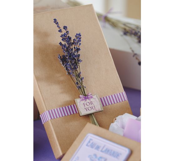 VBS Boxes "Rectangle", set of 5