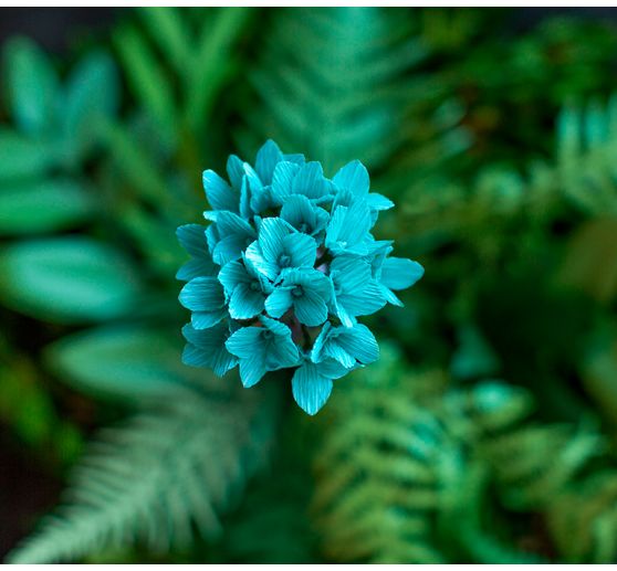 Lia Griffith, bloemist crêpe "Botanical Garden"