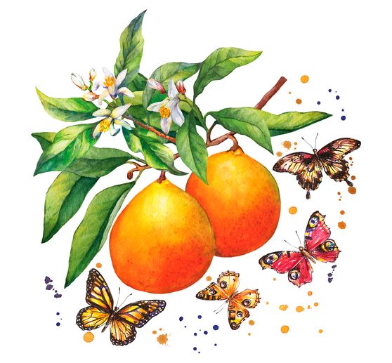 Servet "Vlinders & sinaasappels"