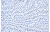 Cotton fabric "Polka dots"