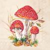 Servetten "Rode paddenstoelen"