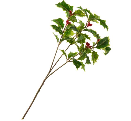 Ilex tak met bessen, 40 cm