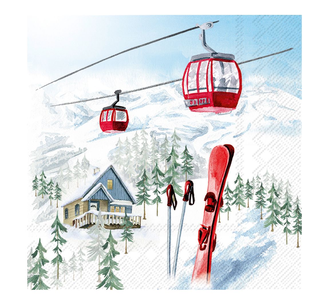 Servet "Skivakantie"