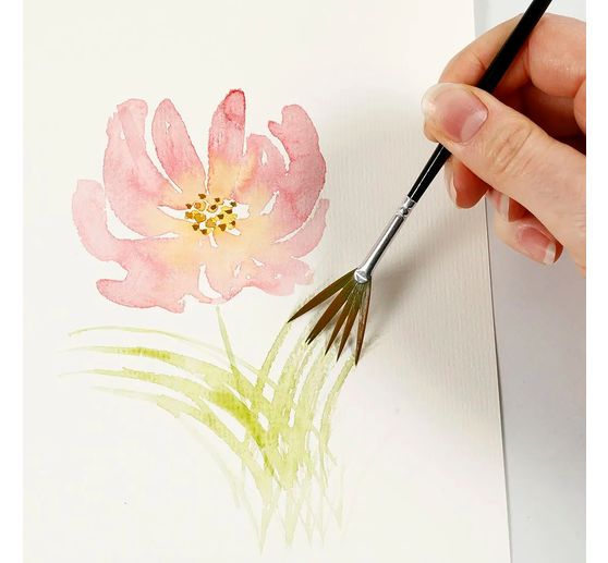 Starter set watercolors