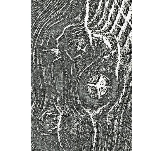 Sizzix 3D Embossing sjabloon "Woodgrain byTim Holtz"