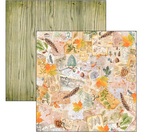 Scrapbook papier "Into the Wild"