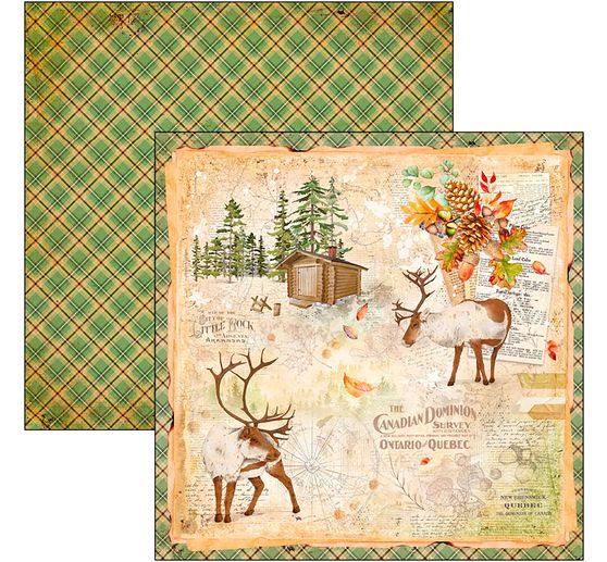 Scrapbook papier "Into the Wild"