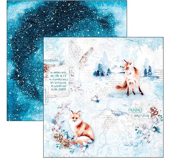 Scrapbook papier "Winter Journey"