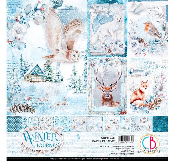 Scrapbook papier "Winter Journey"