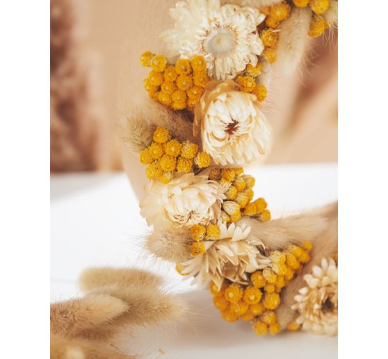 Straw flower heads