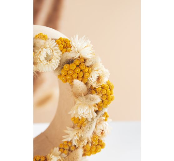 Straw flower heads