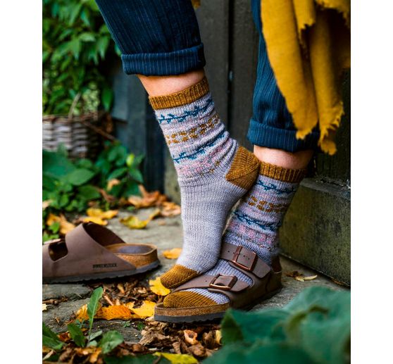 Boek "Der Socken-Kompass"