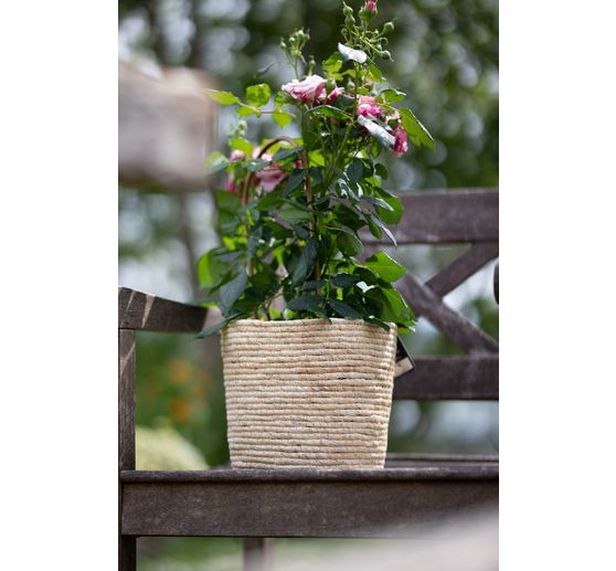 Zeegras plantenbak